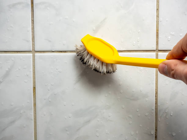 Professional Mold Removal in Kremmling, CO